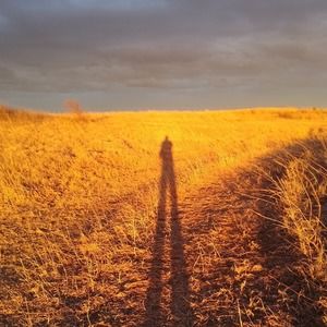 Meet your Posher, Jeff